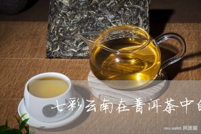 七彩云南在普洱茶中的/2023072162936