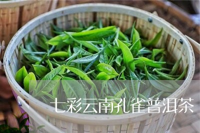 七彩云南孔雀普洱茶/2023112463168