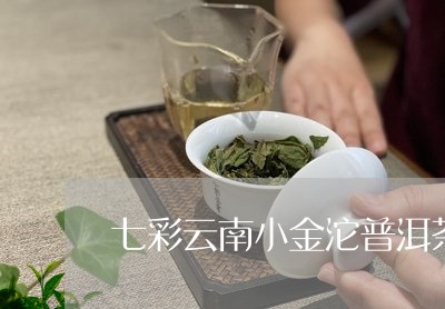 七彩云南小金沱普洱茶/2023092884025