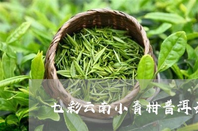 七彩云南小青柑普洱茶/2023072211502