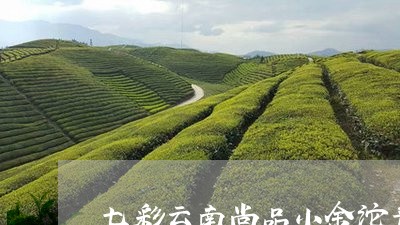 七彩云南尚品小金沱普洱茶熟茶/2023053040513