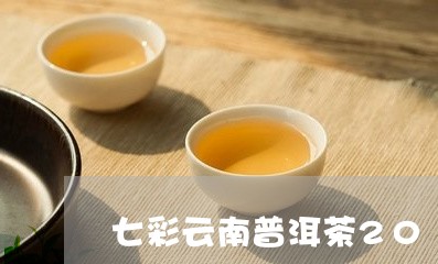 七彩云南普洱茶2011/2023122064926