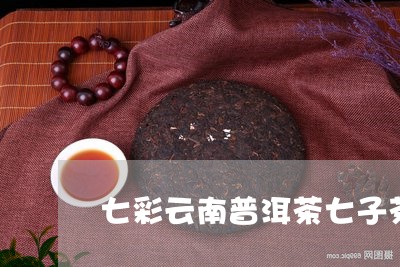 七彩云南普洱茶七子茶/2023062215040