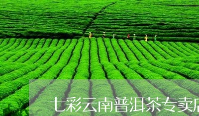 七彩云南普洱茶专卖店/2023061517150