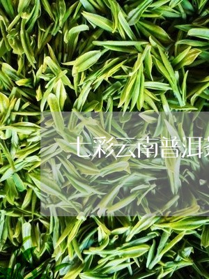 七彩云南普洱茶冰岛/2023071121827