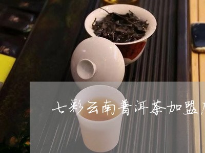 七彩云南普洱茶加盟店/2023092519270