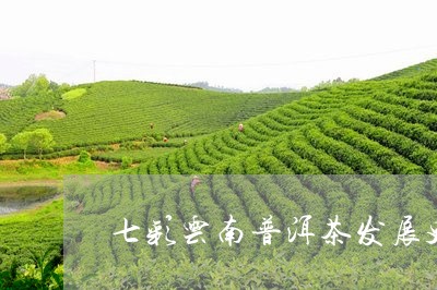 七彩云南普洱茶发展史/2023120660473