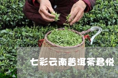 七彩云南普洱茶君悦/2023082649270