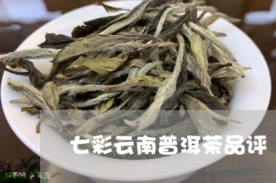 七彩云南普洱茶品评/2023112743837