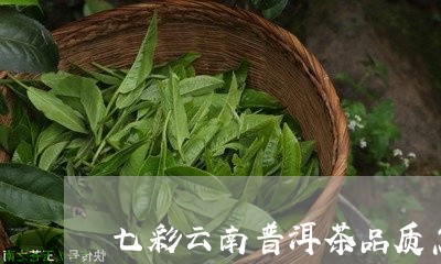 七彩云南普洱茶品质怎么样/2023051093935