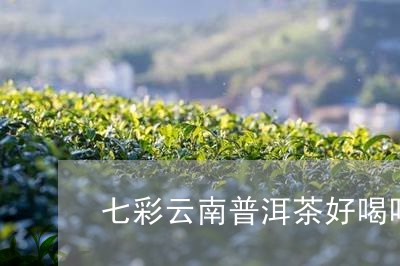 七彩云南普洱茶好喝吗/2023093038582