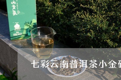 七彩云南普洱茶小金砖/2023072100682