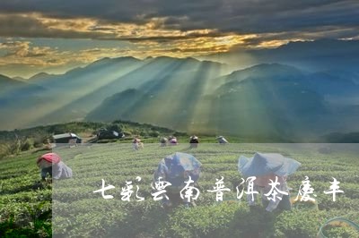 七彩云南普洱茶庆丰/2023092838481