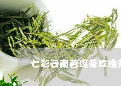 七彩云南普洱茶玫瑰花/2023072156169