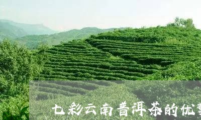 七彩云南普洱茶的优势/2023092614825