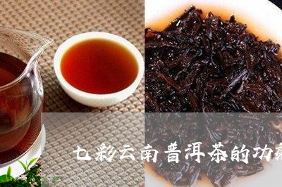 七彩云南普洱茶的功效/2023061907058