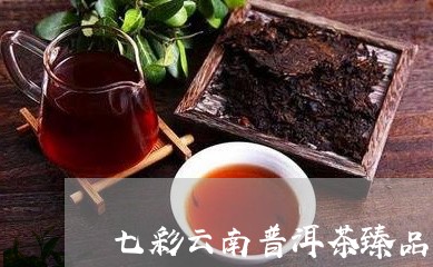 七彩云南普洱茶臻品壹号/2023101051603