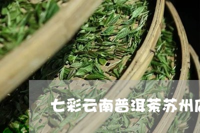 七彩云南普洱茶苏州店/2023061780582