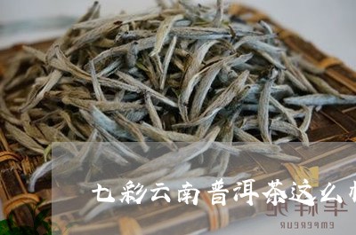 七彩云南普洱茶这么样/2023092673705