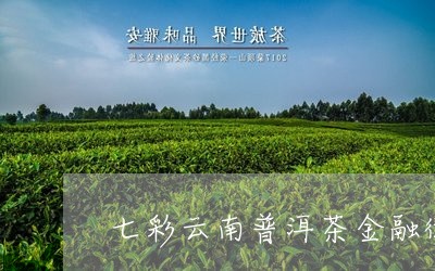 七彩云南普洱茶金融街/2023092716237