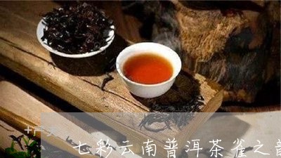 七彩云南普洱茶雀之韵熟茶饼/2023082627492