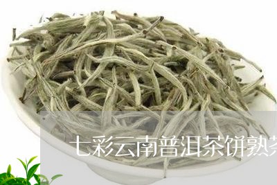 七彩云南普洱茶饼熟茶/2023062239673