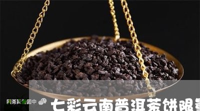 七彩云南普洱茶饼限量/2023061675137