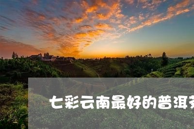 七彩云南最好的普洱茶/2023061646140