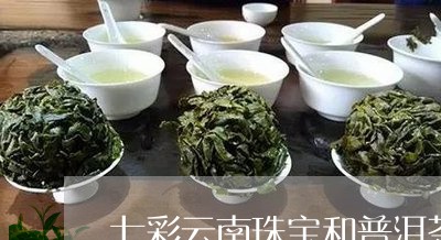 七彩云南珠宝和普洱茶/2023092603725