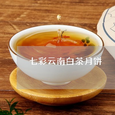 七彩云南白茶月饼/2023061591026