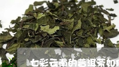 七彩云南的普洱茶如何/2023062881827