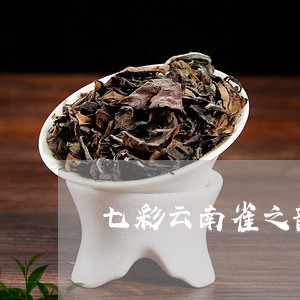 七彩云南雀之韵普洱茶/2023092610404