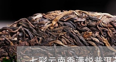 七彩云南香满悦普洱茶/2023061585836