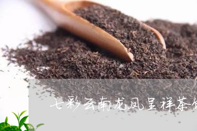 七彩云南龙凤呈祥茶饼/2023092118570