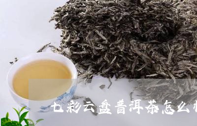 七彩云盘普洱茶怎么样/2023092678383