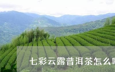 七彩云露普洱茶怎么喝/2023092695148