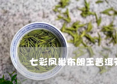 七彩凤巢布朗王普洱茶/2023092653916