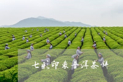 七彩印象普洱茶饼/2023120459592