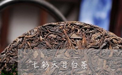 七彩天目白茶/2023051255160