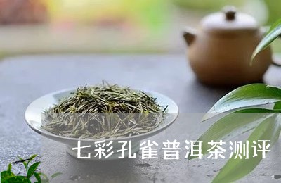 七彩孔雀普洱茶测评/2023101725838