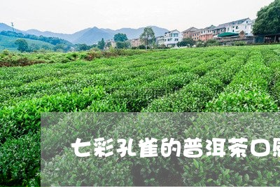 七彩孔雀的普洱茶口感/2023072317360