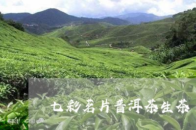 七彩茗片普洱茶生茶/2023081680503