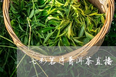 七彩茗片普洱茶直播/2023091539513