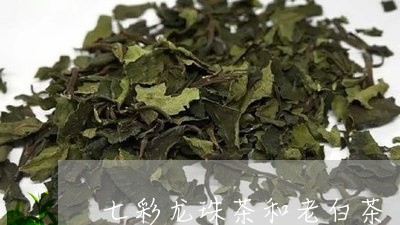 七彩龙珠茶和老白茶/2023121649373