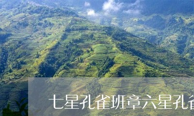 七星孔雀班章六星孔雀班章真假分析/2023060498371