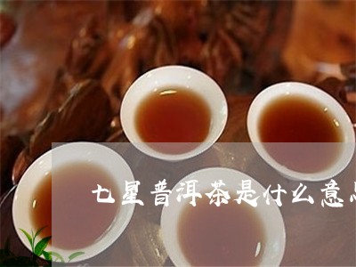 七星普洱茶是什么意思/2023092697282