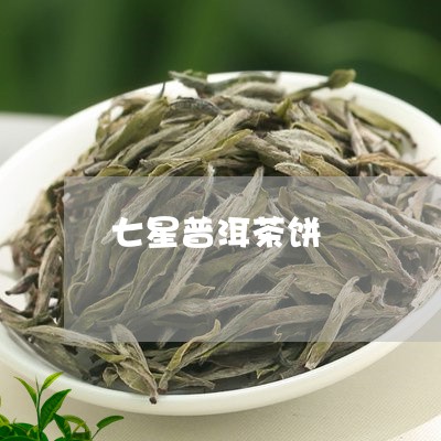 七星普洱茶饼/2023090637350