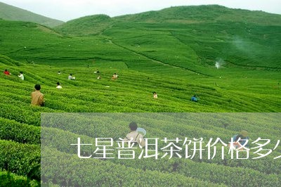 七星普洱茶饼价格多少一斤/2023110402826