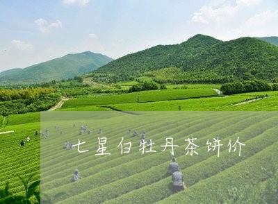 七星白牡丹茶饼价/2023090566147