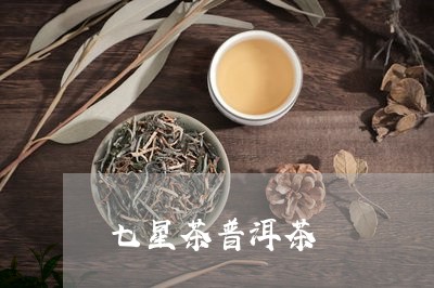 七星茶普洱茶/2023042784853